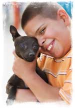 spay and neuter clinic