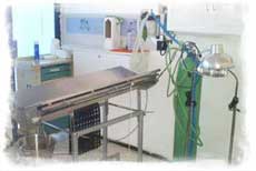 clinic