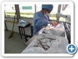 DSCN0037_01