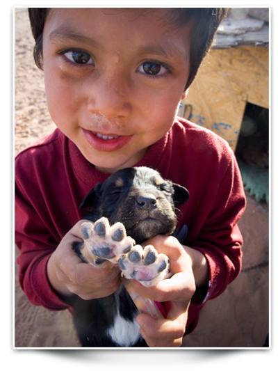 Humane education Boy in ciudad Juares holding a dog