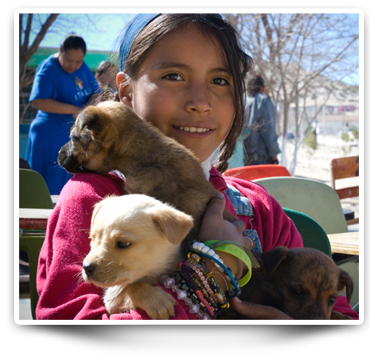 Girl in anapra spay an neuter clinic