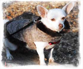 She is, without hesitation, really too darn cute to even describe.