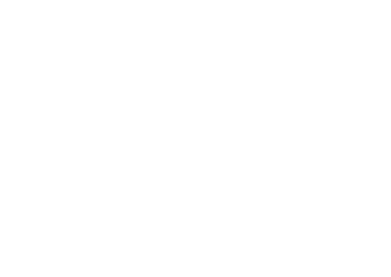 Saving dogs from Yulin China