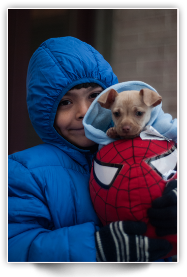 Chihuahua at the local latino clinic