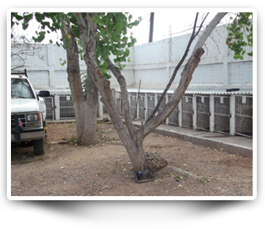 Animal control center
