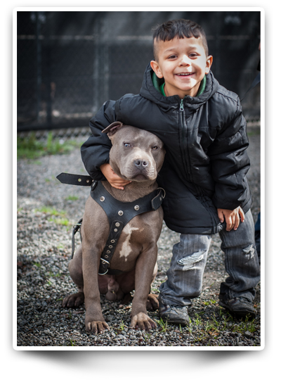 Kid and a pit bull at the free clinic